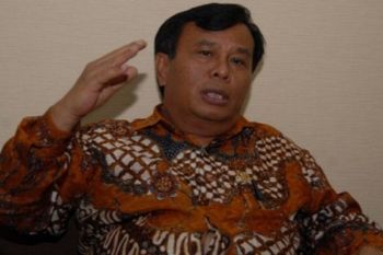 Hanura dukung pemekaran wilayah di Papua 