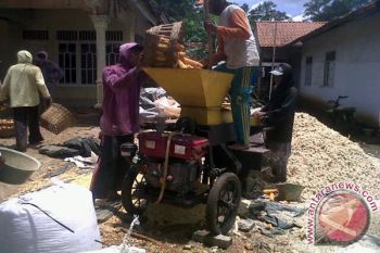 Petani Jagung Lampung Timur Berharap Harga Tinggi  