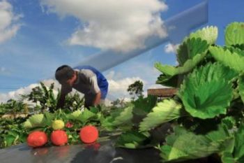 Desa Wisata Purbalingga Didorong Bersinergi dengan UMKM