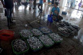 Aktivitas Lelang TPI Pekalongan Ramai Lagi