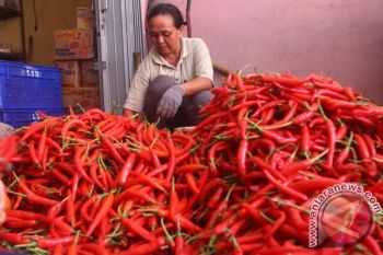 Harga Cabai di Kudus Tembus Rp60 Ribu/Kg