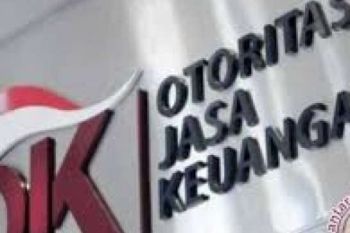 Agar Orang Desa Tersentuh Layanan Perbankan, Ini Langkah OJK Riau