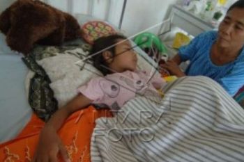 Sudah 5 Orang Meninggal, Wako: Pekanbaru Belum Kriteria KLB DBD