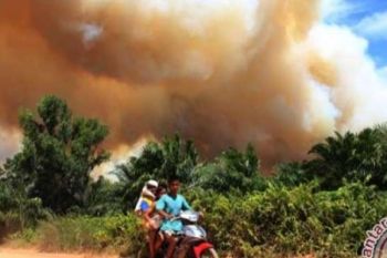 Terus-Terusan Kebakaran Lahan, Udara Dumai Berkabut Langsung dengan Asap Tebal