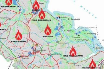 Satellites Detect 8 Hotspots in Riau Today