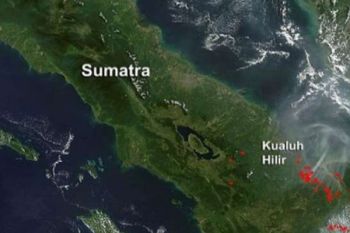 Kathutla di Riau dengan 45 Hotspots, Total 59 di Sumatera