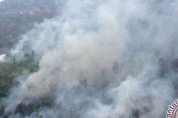 Kebakaran Lahan di Bengkalis Mengancam Pemukiman Warga dan Sekolah Tinggi