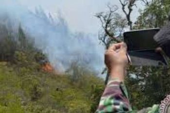 1 Titik Api di Rohil Terindikasi Kebakaran Lahan dan Hutan