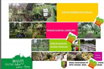 Dishut Lampung Kembangkan "Kampung Durian" 