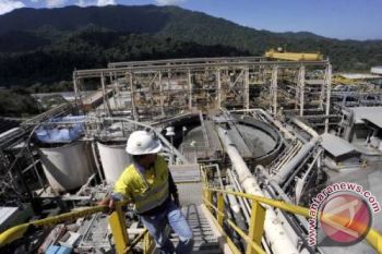 Newmont Setor Pajak Dan Royalti Rp34,7 Triliun 