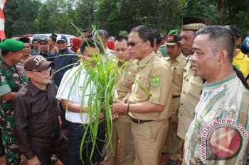 Lahan Sungai Besar Resmi Digarap jadi Sawah