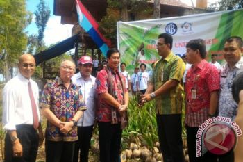BI Tanam Ribuan Kelapa-cengkih Di Minahasa 