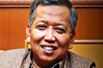 DPD tinjau calon DOB Napa Swandiwe 