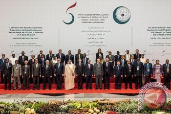 Indonesia-Mauritania Ingin OKI Aktif Cari Solusi untuk Palestina
