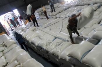 Serap Gabah Petani, Bulog Libatkan Gapoktan dan KTNA