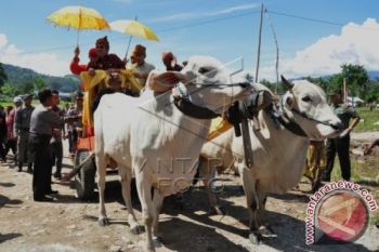 Gubernur Sulteng Buka Festival GMT Di Sigi