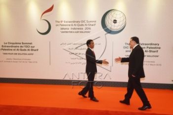 Indonesia perlu manfaatkan diplomasi ekonomi OKI