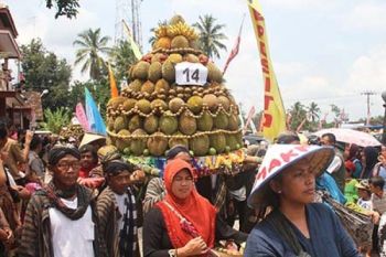 Festival Durian Candimulyo Wujudkan Desa Berdikari