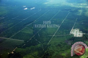 Dishutbun Barut Harapkan AGU Beli Sawit Petani 