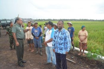 Kasdam Cenderawasih tinjau lokasi cetak sawah di Papua Barat