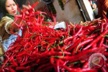 Harga Cabai Merah Tembus Rp60.000/Kg