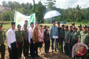 BI Kembali Tanam 1.000 Kelapa Tingkatkan Produksi 