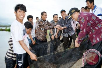KKP Bantu Rp2 Miliar Minapolitan Terintegrasi Donggala 