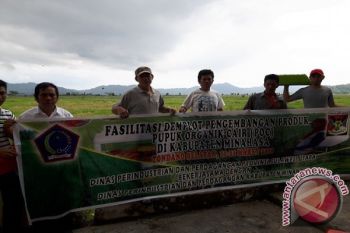 Produksi Padi Minahasa Naik 100 Persen Dengan POC