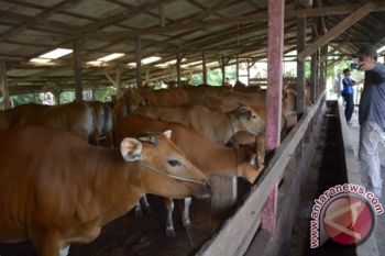 Masyarakat Desa Paparkan Konsep Sawit Ramah Lingkungan