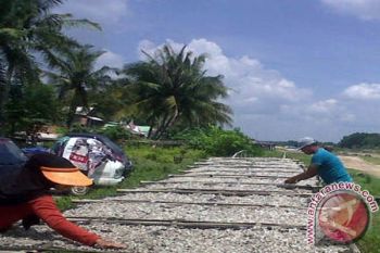 Pertahankan Pulau Pasaran sebagai sentra ikan teri