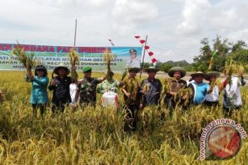 Bupati Barito Selatan Panen Raya di Pendang