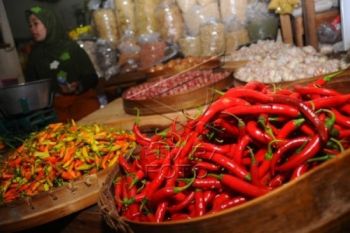 Musim Panen, Harga Cabai di Kudus Turun
