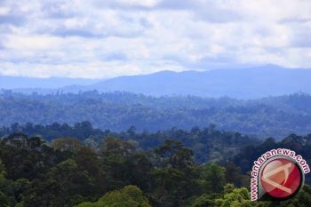 Pemkab Barut Dukung Gunung Lumut Jadi Taman Nasional