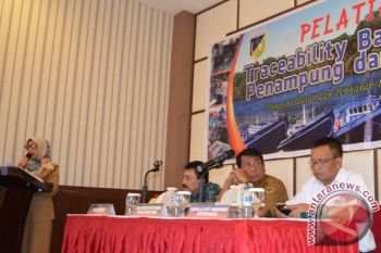 DKP Sulteng Fokus Tingkatkan Daya Saing