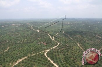 Penertiban kawasan hutan perlu selaras dengan kepastian hukum HGU