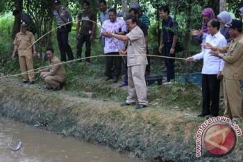 Pemkab Pulpis Minta Dukungan Pusat Bantu Nelayan