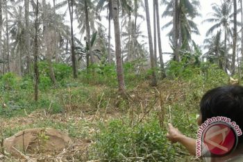 DLH Minahasa Tenggara minta warga tak melakukan penebangan liar