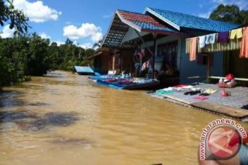 Ratusan Rumah Pedalaman Barut Terendam Banjir Bandang