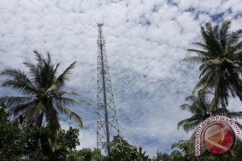 Bongkar Muat Sapi SItubondo