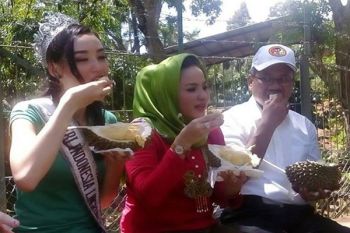 Putri Lingkungan 2016 Promosikan Kampung Durian Bandarlampung