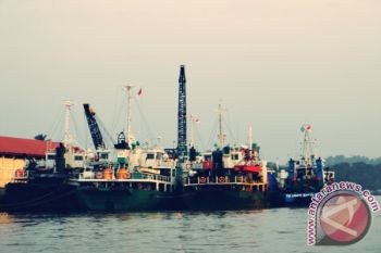 Penyelundupan Kepiting Bertelur Gagal Ke Sabah