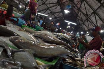 Harga Ikan Segar Naik