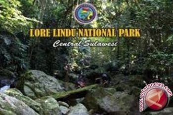 Taman Nasional Rusak Karena Tambang Emas Ilegal 