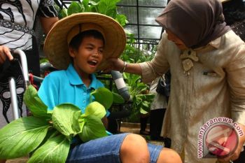 Anggota DPR: UU Penyandang Disabilitas Hilangkan Diskriminasi Penyandang Disabilitas