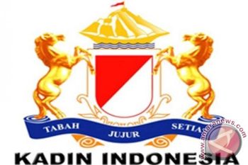 Kadin Terus Dorong Pertumbuhan UMKM