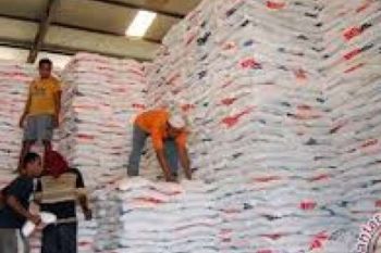 Bulog: Stok Beras Inhil Stabil, Masyarakat Tak Perlu Khawatir