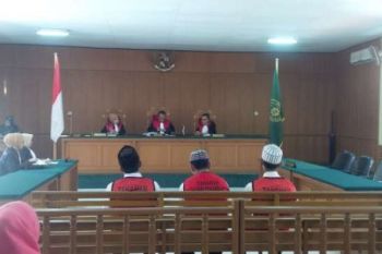 Terdakwa Perdagangan Orang Utan Divonis PN Pekanbaru 2,5 Tahun Penjara