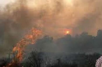 Jaga Lahan Tidak Terbakar, Perusahaan Diminta Ade Hartati Intensif Berkoordinasi 