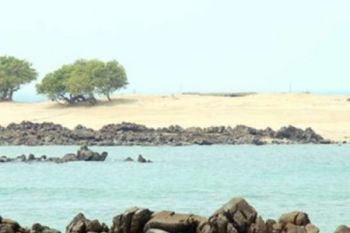 Bupati: Pulau Jemur Rohil Kurang Diperhatikan Pemerintah Provinsi Maupun Pusat
