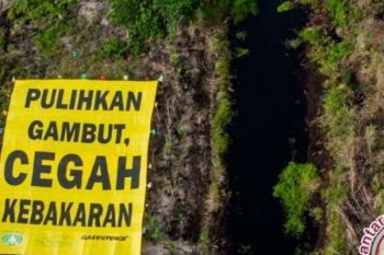 BRG Lakukan Program Gambutnya di 10 Desa Meranti